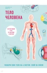 Тело человека. Интерактивный атлас по анатомии с вырубкой. Разбери свое тело на 6 систем / Билич Габриэль Лазаревич