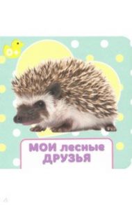 Мои лесные друзья