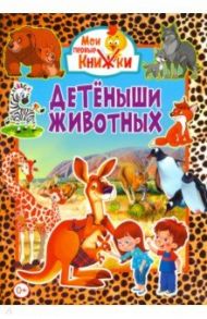 Детеныши животных