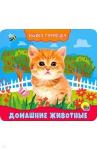 Книжка-гармошка. Домашние животные / Купырина Анна