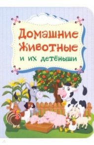 Домашние животные и их детёныши / Мельник В., Мамина Наталья, Андреева Юлия С.