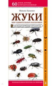 Жуки. Мир удивительных насекомых. Наглядный карманный определитель / Куценко Михаил Евгеньевич