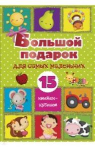 Большой подарок для самых маленьких. 15 книжек-кубиков!