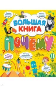 Большая книга почему / Бобков Павел Владимирович