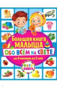 Большая книга малыша обо всём на свете. От 6 месяцев до 3 лет / Скиба Тамара Викторовна