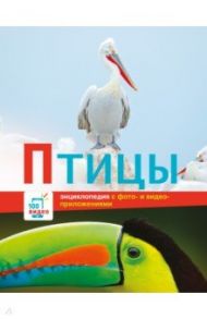 Птицы