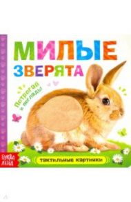 Тактильная книжка "Милые зверята" / Сачкова Евгения