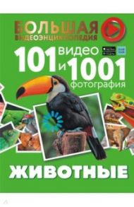 Животные. 101 видео и 1001 фотография / Хомич Елена Олеговна, Вайткене Любовь Дмитриевна