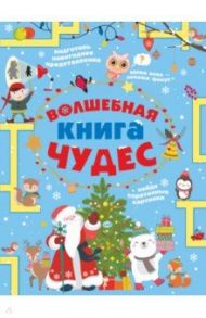 Волшебная книга чудес / Прудник Анастасия Александровна, Вайткене Любовь Дмитриевна, Аниашвили Ксения Сергеевна