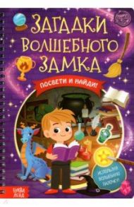 Книга с фонариком. Загадки волшебного замка