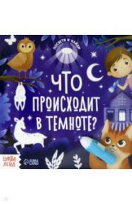 Книга с фонариком Что происходит в темноте?