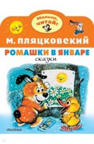 Ромашки в январе / Пляцковский Михаил Спартакович