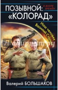 Позывной: "Колорад". Наш человек Василий Сталин / Большаков Валерий Петрович