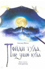 Пойди туда, не знаю куда. Книга 3. Три царства / Шевцов Александр Александрович