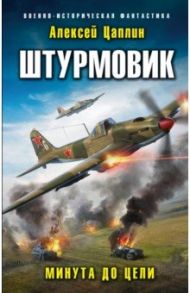 Штурмовик. Минута до цели / Цаплин Алексей Георгиевич