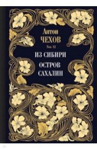 Из Сибири. Остров Сахалин. Том 12 / Чехов Антон Павлович