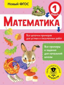 Математика. Все цепочки примеров для устных и письменных работ. 1 класс - Кулаков Алексей Алексеевич