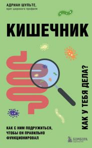 Кишечник. Как с ним подружиться, чтобы он правильно функционировал - Шульте Адриан