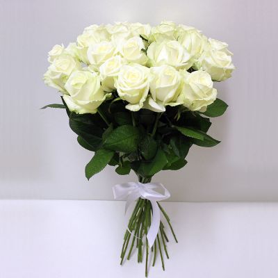 21 белая роза