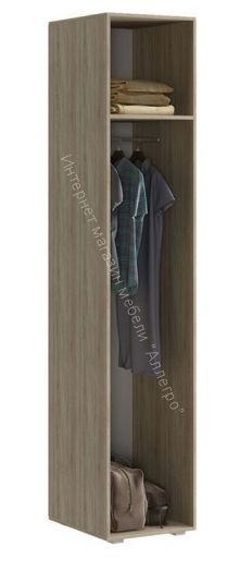 Шкаф для одежды с зеркалом ИН-105 "Инесса NEW"