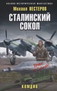 Нестеров М. Сталинский сокол Комдив