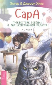 Хикс Э., Хикс Дж. Сара Путешествие ребенка в мир безграничной радости