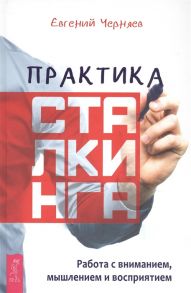 Черняев Е. Практика сталкинга Работа с вниманием мышлением и восприятием