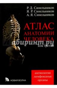 Атлас анатомии человека. В 4-х томах. Том 3. Учение о сосудах и лимфоидных органах / Синельников Рафаил Давидович, Синельников Яков Рафаилович, Синельников Александр Яковлевич