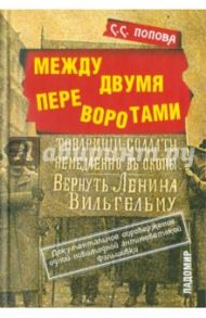 Между двумя переворотами. Документальные свидетельства о событиях лета 1917 года в Петрограде / Попова С. С.