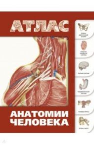 Атлас анатомии человека / Левкин Сергей Сергеевич