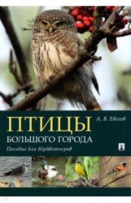 Птицы большого города. Пособие для бёрдвотчеров / Евсеев Антон Вячеславович