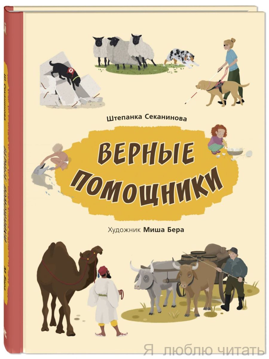Верные помощники