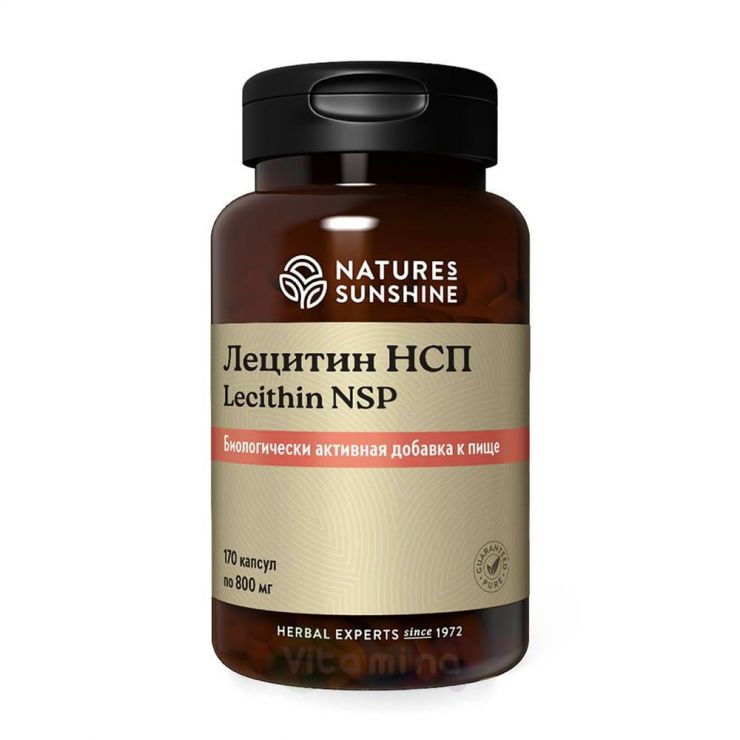 Lecithin NSP (Лецитин НСП)