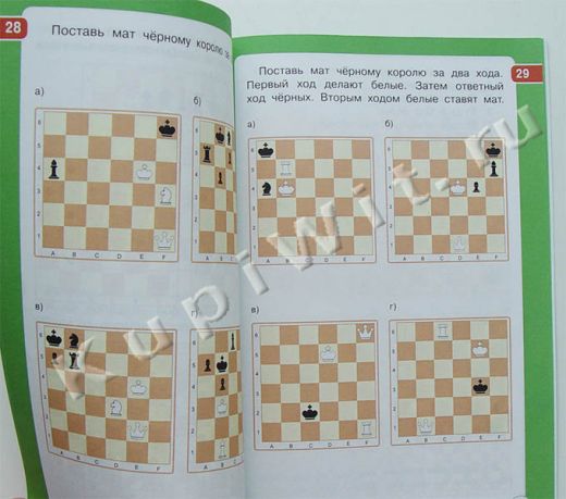 30 задач на шахматной доске на развитие логики