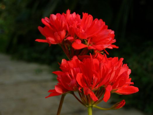 Good Vibration № 1203