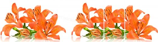 Кухонный гарнитур Риал 1500 лилия-оранж