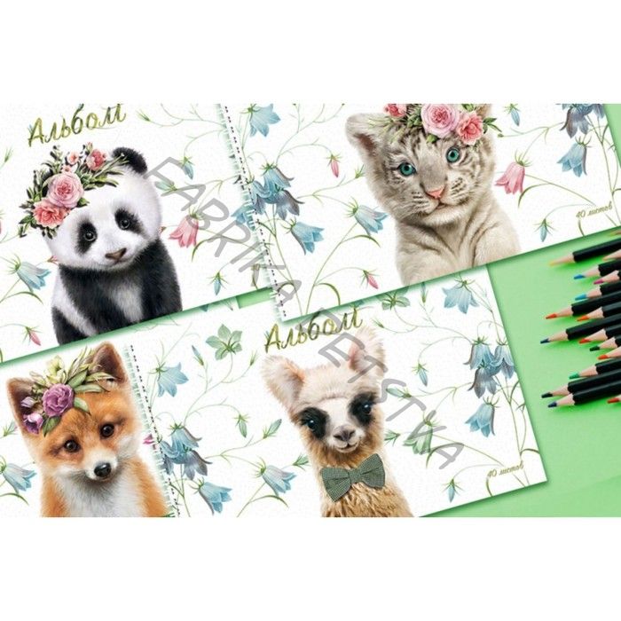 Альбом для рисования А4, 40 листов на гребне "Звери Ми-Ми-Ми", обложка мелованный картон, твин лак, конгрев, блок 100 г/м2