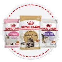 Royal Canin влажный корм для кошек