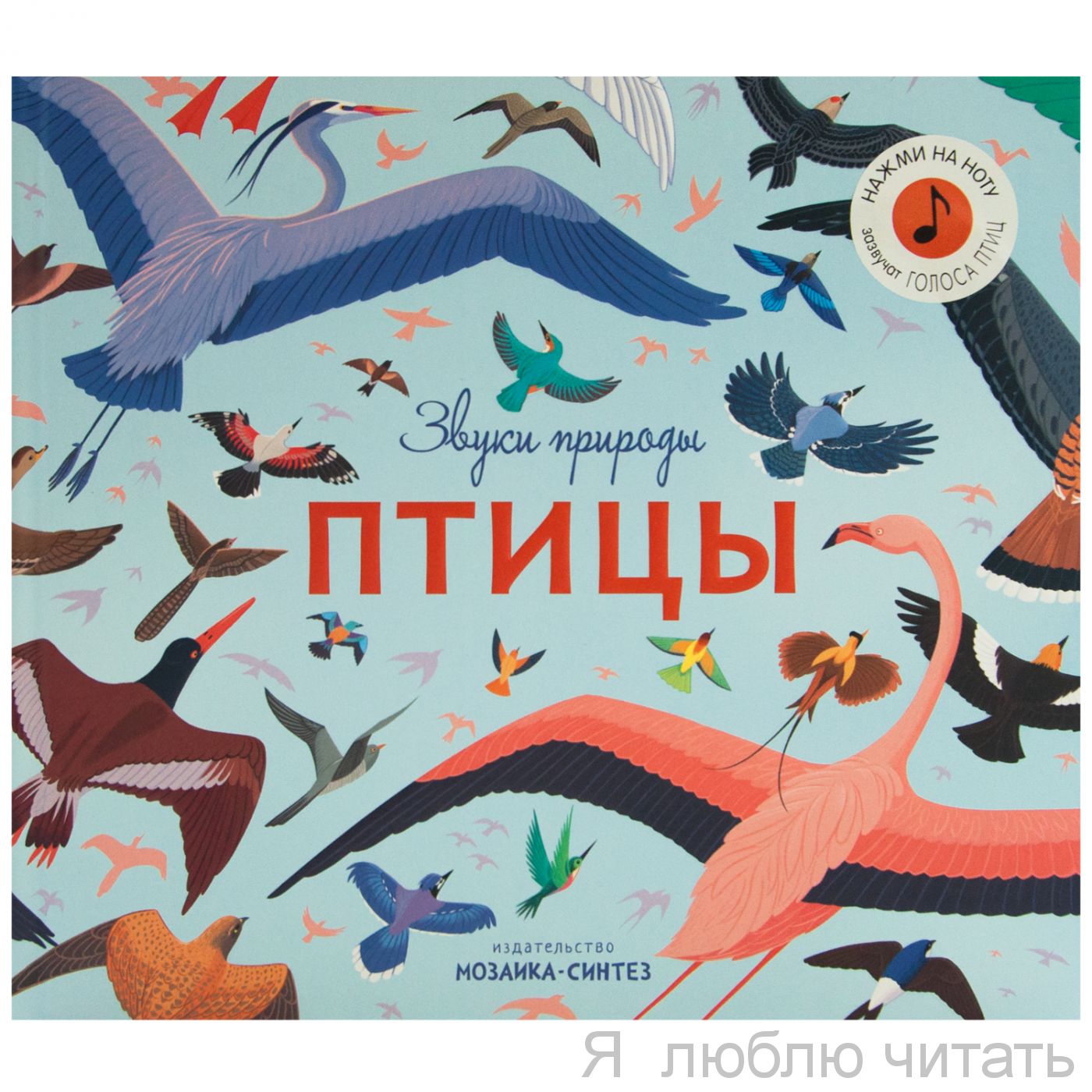 Звуки природы. Птицы
