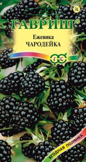 Семена Ежевика Чародейка/Ягодная полянка 10шт