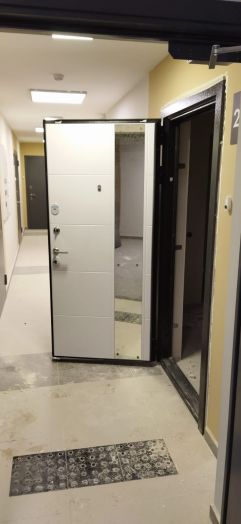 Входная дверь Лабиринт ROYAL 19 Белый софт