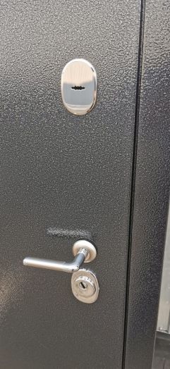 Дверь Входная РЕКС SILVER