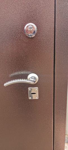 Дверь Входная Рекс CLASSIC антик медный