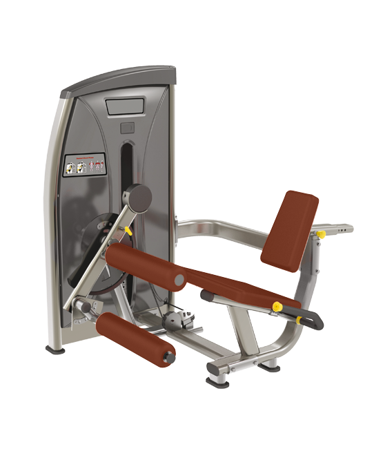 BRONZE GYM E-013 Сгибание ног сидя