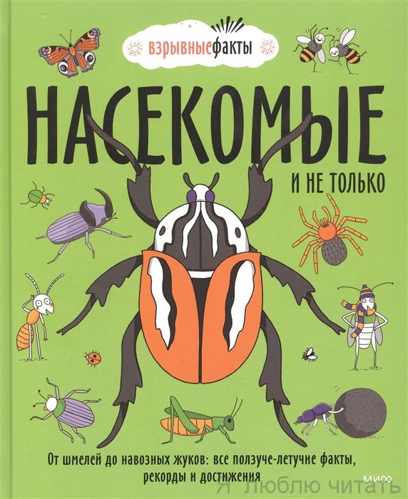 Насекомые и не только