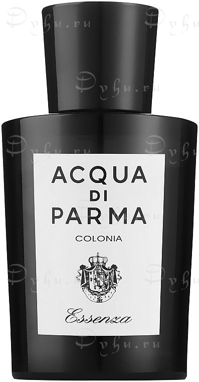 Acqua Di Parma Colonia Essenza Eau de Cologne