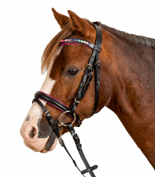 Оголовье трензельное (уздечка). Star Pinky- Waldhausen. Ганноверский капсюль