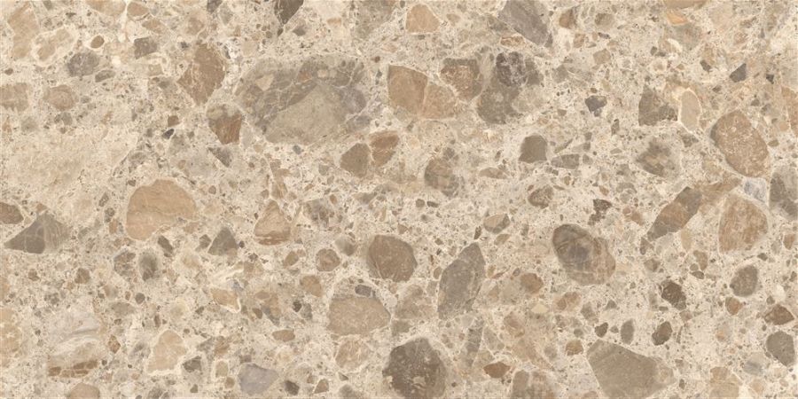 CityStone Чеппо Мультиколор Матовый R10A Ректификат 60x120 K951849R0001VTEP