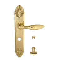 Ручка на планке Venezia Maggiore PL90 WC-2. латунь полированная