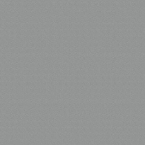HPL (БСП) Платина 0859 3050x1320x0,8 мм